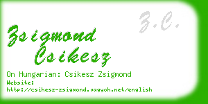 zsigmond csikesz business card